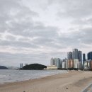 해운대관광안내소 이미지