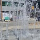 여수공원(관리사무소 옆) 네이버블로그