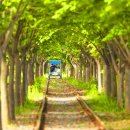 경기둘레길 평택46코스 | 🏞 경기 둘레길, 완주자 1,000명 돌파! 60개 코스로 만나는 860km 힐링 트레킹 명소