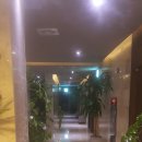 베니키아 리치다이아몬드호텔 이미지