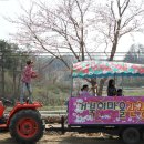 거북이마을 이미지