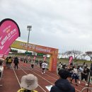 내서어린이체육관 | 마지막까지 힘을 남겨놔야하는 11월 해남마라톤 후기, 전마협