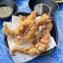 일산 야장 횟집 갑오징어회 맛집 열정오징어 라페스타점