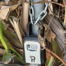 씨에이(CA)정문약국 | 미국) 🇺🇸 LA여행 숙소 l 헐리우드 사인이 보였던 숙소 ㅣ 더 제시카 아파트먼츠