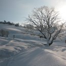 향수목장2 이미지