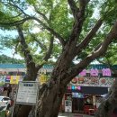 수덕펜션 이미지