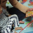 준영농장 이미지