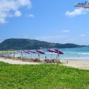 마이애미 이미지