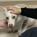 정진농장 | 블로그 제목 추천좀요