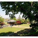 해미읍성 관광안내소 네이버블로그