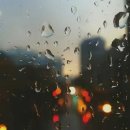 해인약국 이미지