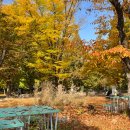 피크닉케이크 이미지