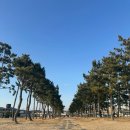 병곡민박 | [영덕 병곡민박] 내돈내산 숙소후기 🩵 나는솔로 촬영지 바다 앞!