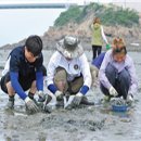 신시도어촌체험휴양마을 이미지