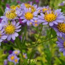 성남시청내 이미지