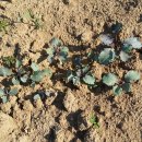 만물마트 이미지