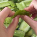 [아이랑 집밥] 어머님이 주신 오이 10개로 만든 여름 오이물김치 후기