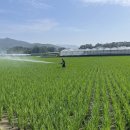 구미시농업기술센터 이미지