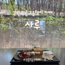 율곡 초등학교 앞 | 통창 감성을 가진,크림브륄레라떼와 사루에이드가 매력적인 힐링 공간 강릉 카페 ‘사루’방문후기