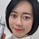 왕눈이코알라