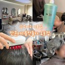 상무카클리닉 | 상무지구 미용실 두피 케어 클리닉 잘하는 칸쿤머리를만들다 1호점