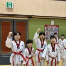 안성 바른태권도장 이미지