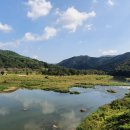 대황강 출렁다리 이미지