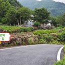 대자연민박 이미지