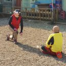 솔솔바람 이미지