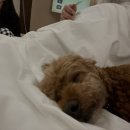 스테이더담 이서점 이미지