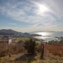 뉴황토펜션 이미지