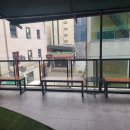 그로우펫 이미지