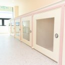 강아지미용실 이미지