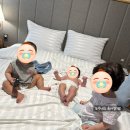 상리소음방농장 | 3개월 아기랑 첫 여행 &#39;삼척 쏠비치 D동 노블리안 방3, 화장실3&#39; 공동육아!