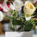 황명자 포토에세이《환한 골목》발간 --시와반시 이미지