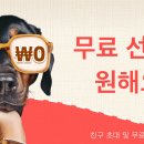 테무 1 코인만 도와주세요 이미지