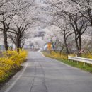 남부권 코스 이미지