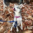 콜드베이켄넬 이미지