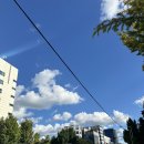 동탄 사주 철학관 역학사람들 후기