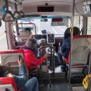 수원-지만-326 | 카바란 위스키 양조장 방문후기 #타이완소도시 #위스키시음 #kavalan *25.01.25