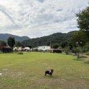 카페독채 이미지