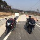 고고바이크