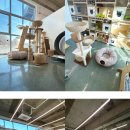 동물보육원 이미지