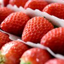 거운농장 이미지