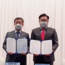 동강시스타 이미지