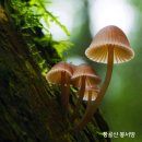 은혜유통 이미지