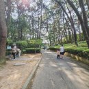 금강정비 | 금강공원 케이블카 금정산 전망대 탑승후기 (feat. 운행/가격/시간)