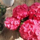 을지아파트 상가 이미지