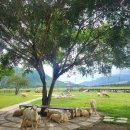 수이목장 이미지