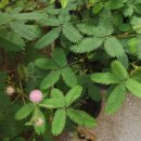 서범석한의원 이미지